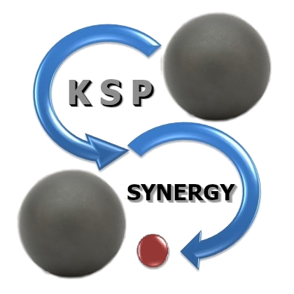 Klub Sportowy Petanque SYNERGY